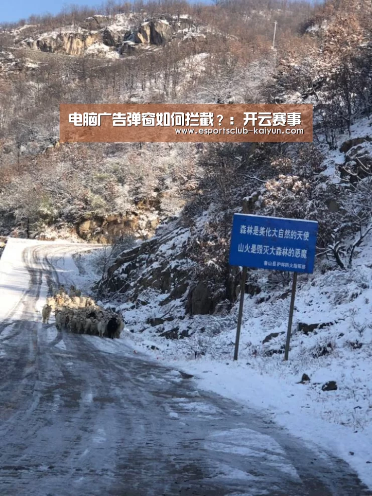 电脑广告弹窗如何拦截?:开云赛事(图2) 开云赛事