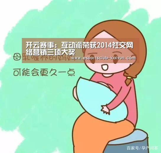 开云赛事：互动派荣获2014社交网络营销三项大奖